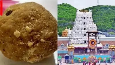 Tirupati-laddo